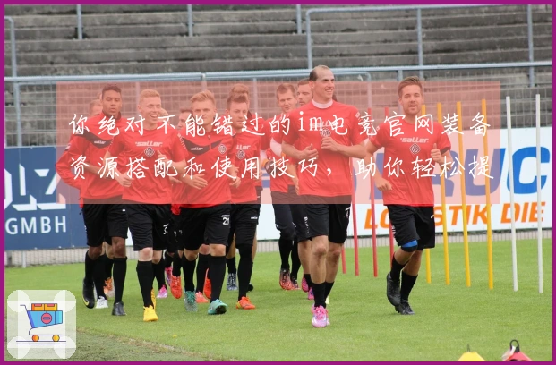 你绝对不能错过的im电竞官网装备资源搭配和使用技巧，助你轻松提升游戏体验！