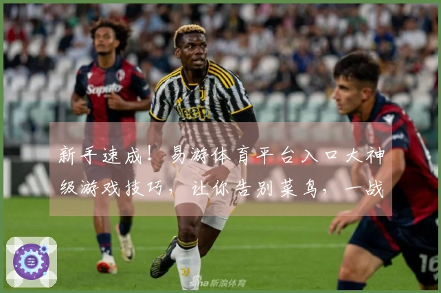 新手速成！易游体育平台入口大神级游戏技巧，让你告别菜鸟，一战封神！