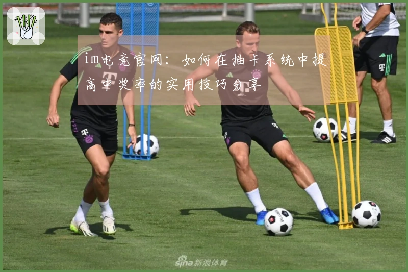 im电竞官网：如何在抽卡系统中提高中奖率的实用技巧分享