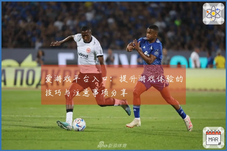 爱游戏平台入口：提升游戏体验的技巧与注意事项分享